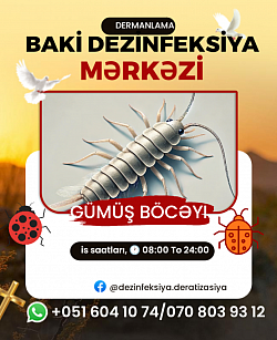 gümüşü böcəyi dezinfeksiya